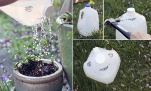 What To Do With Old Milk Jugs 18