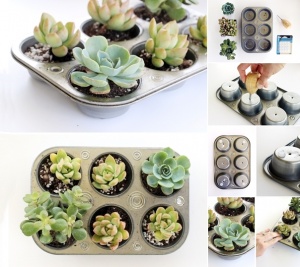 What To Do With Old Muffin Tins 6