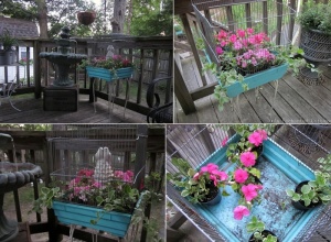 What To Do With An Old Birdcage 3