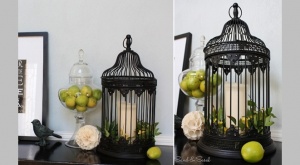 What To Do With An Old Birdcage 7