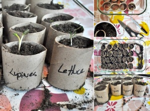 What To Do With Old Paper Roll Tubes 6
