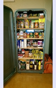What To Do With An Old Refrigerator 5