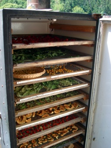 What To Do With An Old Refrigerator 6