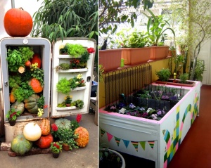 What To Do With An Old Refrigerator 7