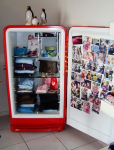 What To Do With An Old Refrigerator 8