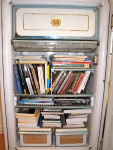 What To Do With An Old Refrigerator 9