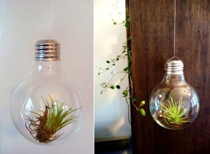 What To Do With Old Light Bulbs 6