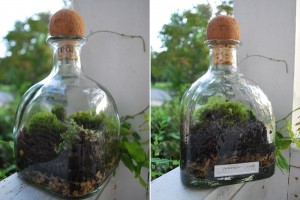 What To Do With Old Tequila Bottles 11