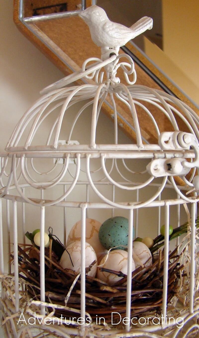 WhatToDoWithOld What To Do With An Old Birdcage?